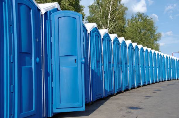 Best Affordable portable toilet rental  in Shelbyville, TN